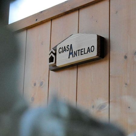 Ciasa Antelao Daire Masarie Dış mekan fotoğraf